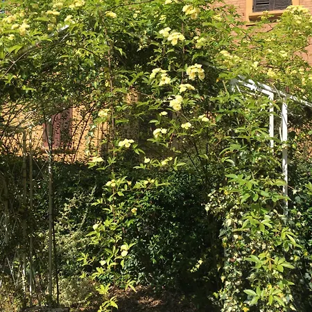 Emozione Sant Orsola