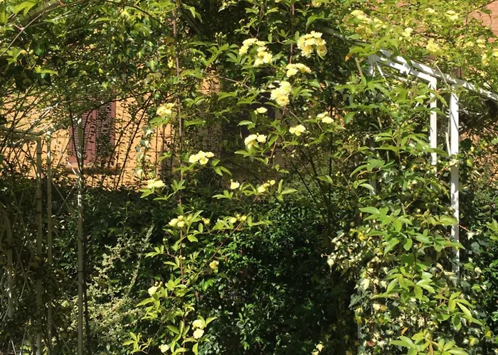 Emozione Sant Orsola